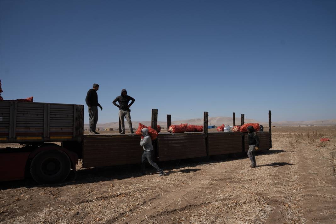 Konya Ovası’nda tablo gibi hasat 15